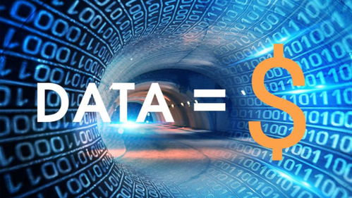 物聯(lián)網(wǎng)應用服務中的數(shù)據(jù)資產(chǎn)價值分析評估方法與實踐